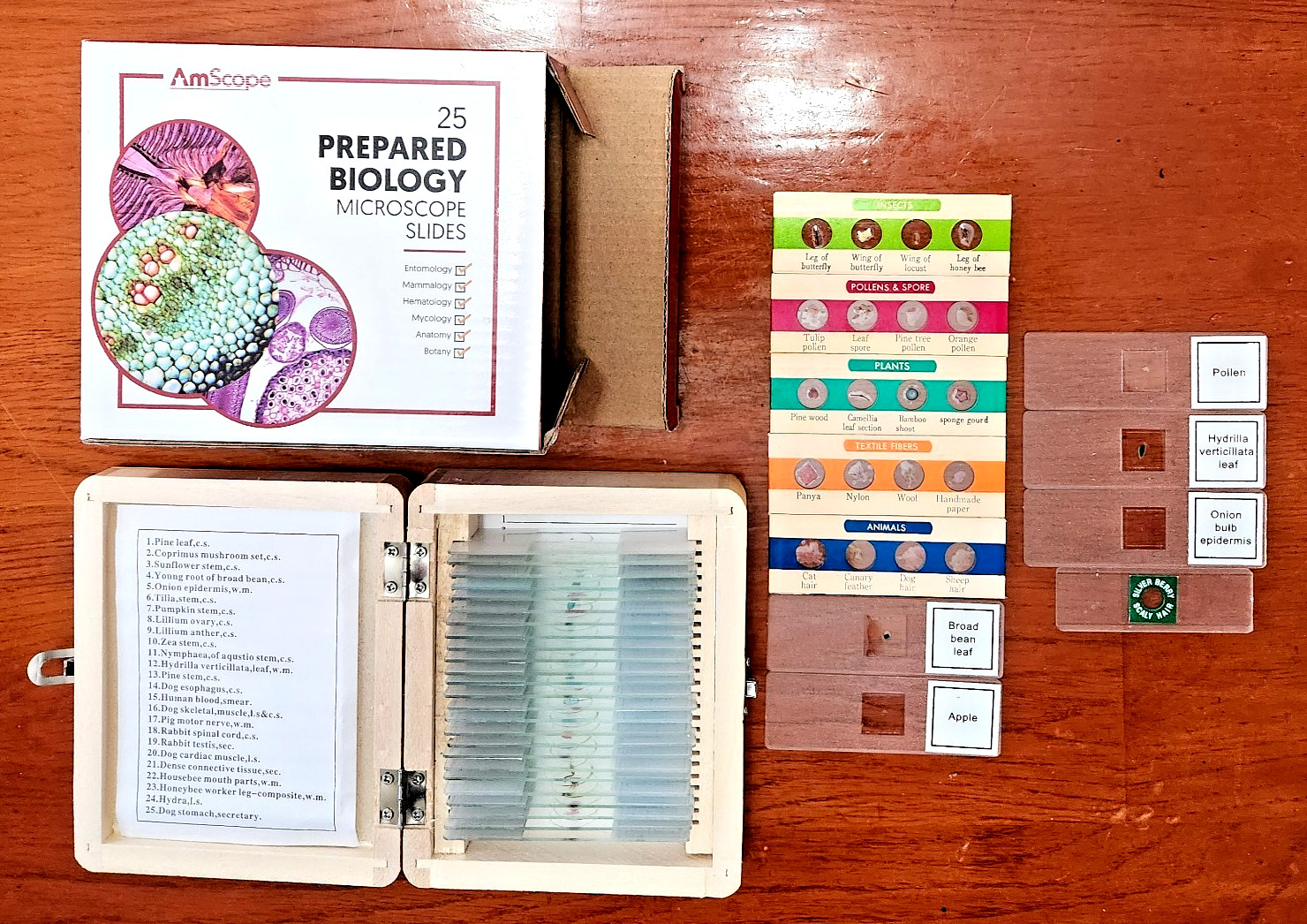 50+ Specimens on Prepared Slides for Microscope - New & Vintage Slides - Biology