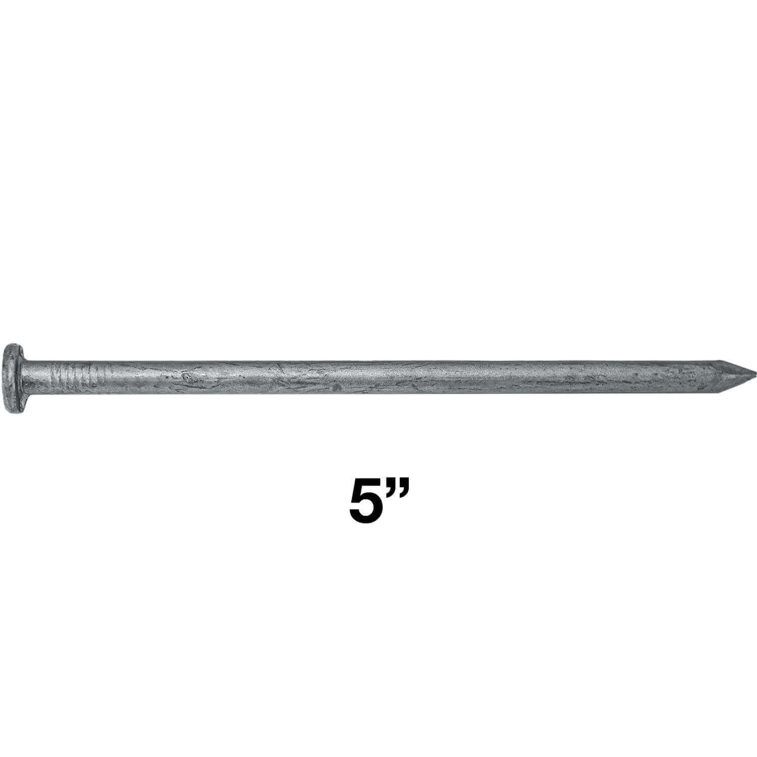 Exterior Hot Dipped Galvanized Common Framing Nail