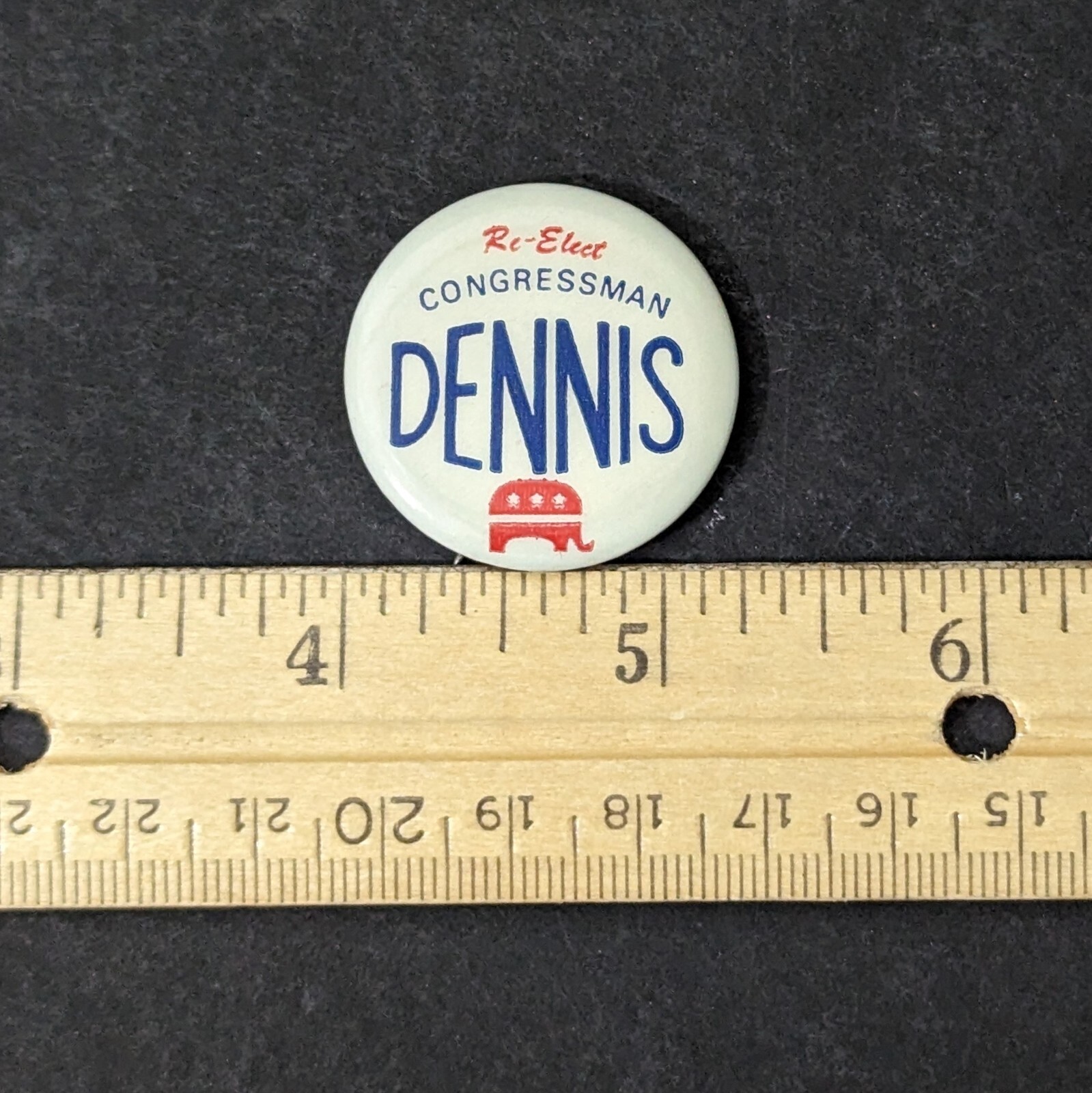 Re-Elect Congressman Dennis with Elephant Political Campaign Pinback Button