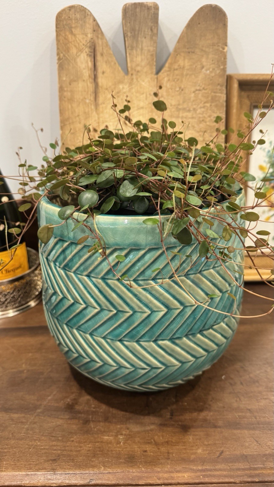 Turquoise Medium Size Chevron Indoor Planter 8.5” Diameter