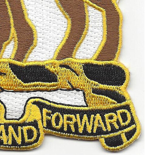 10th Cavalry Regiment Patch