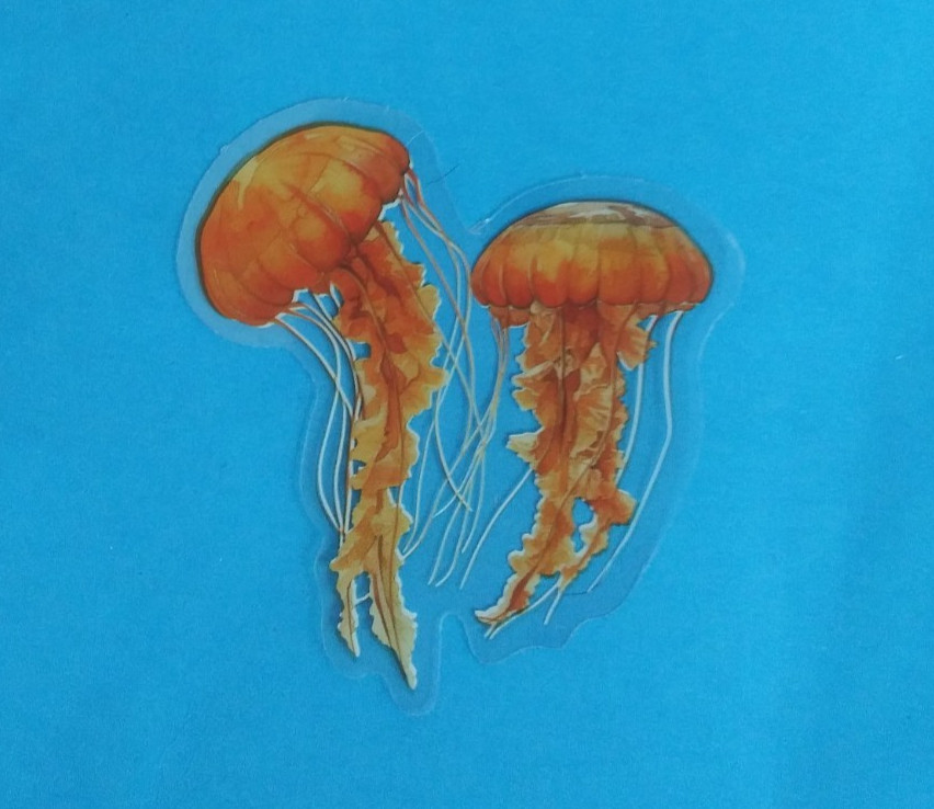 Beautiful Twin Orange Jellyfish Transparent Sticker 2.5" x 2.25" (F)
