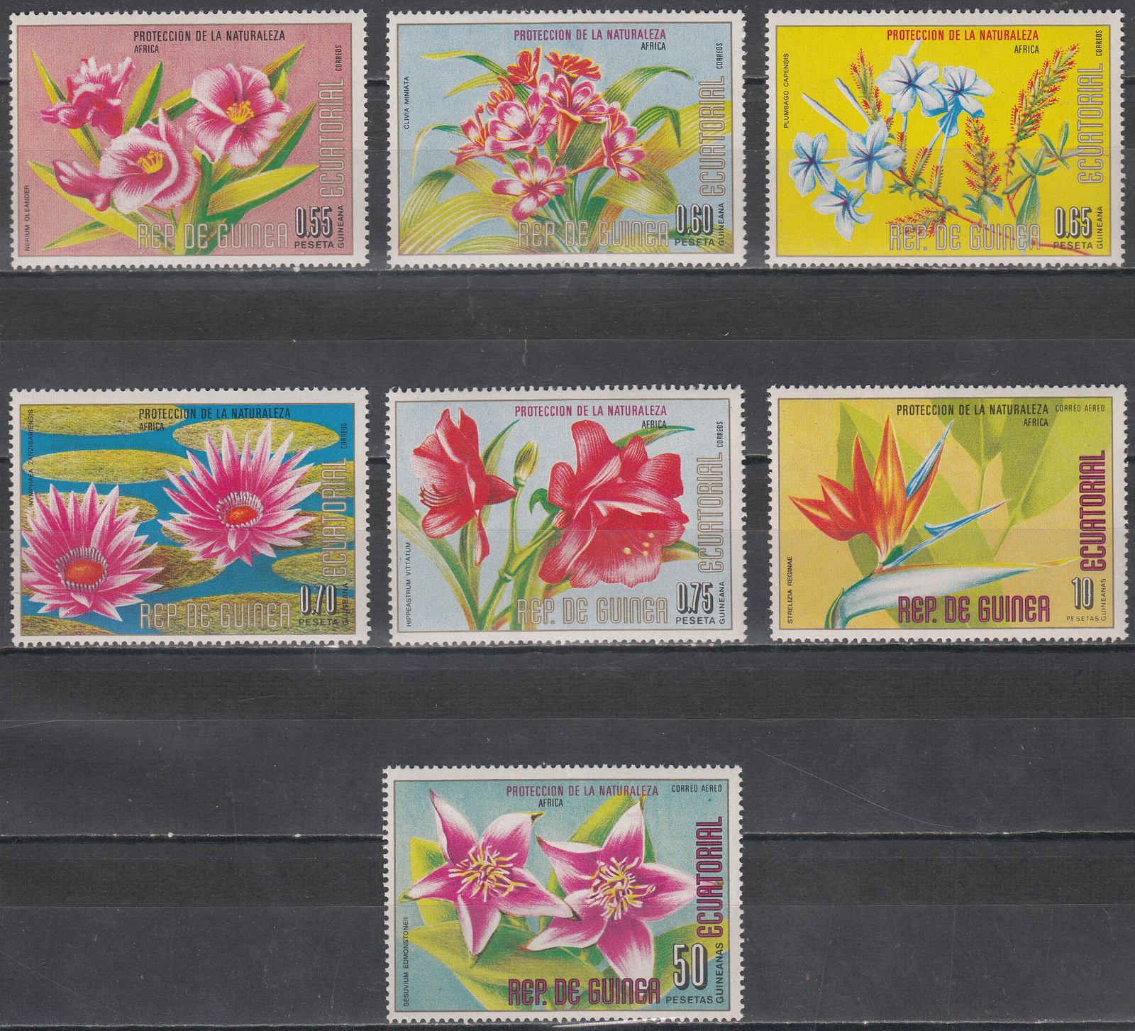 W EQUATORIAL GUINEA 0980A-986A AFRICA FLOWERS PERFORATED SET