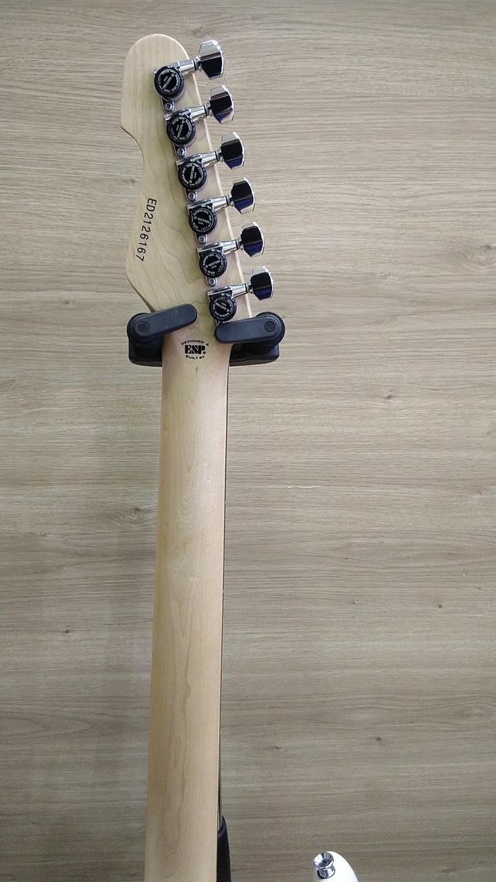 EDWARDS E SNAPPER AL R SNAPPER 506062