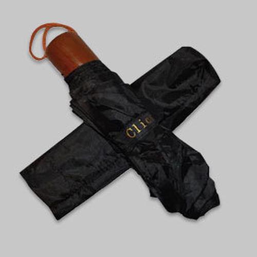 Clicks Umbrellas Travel Umbrella 42"- automatic open/close compact