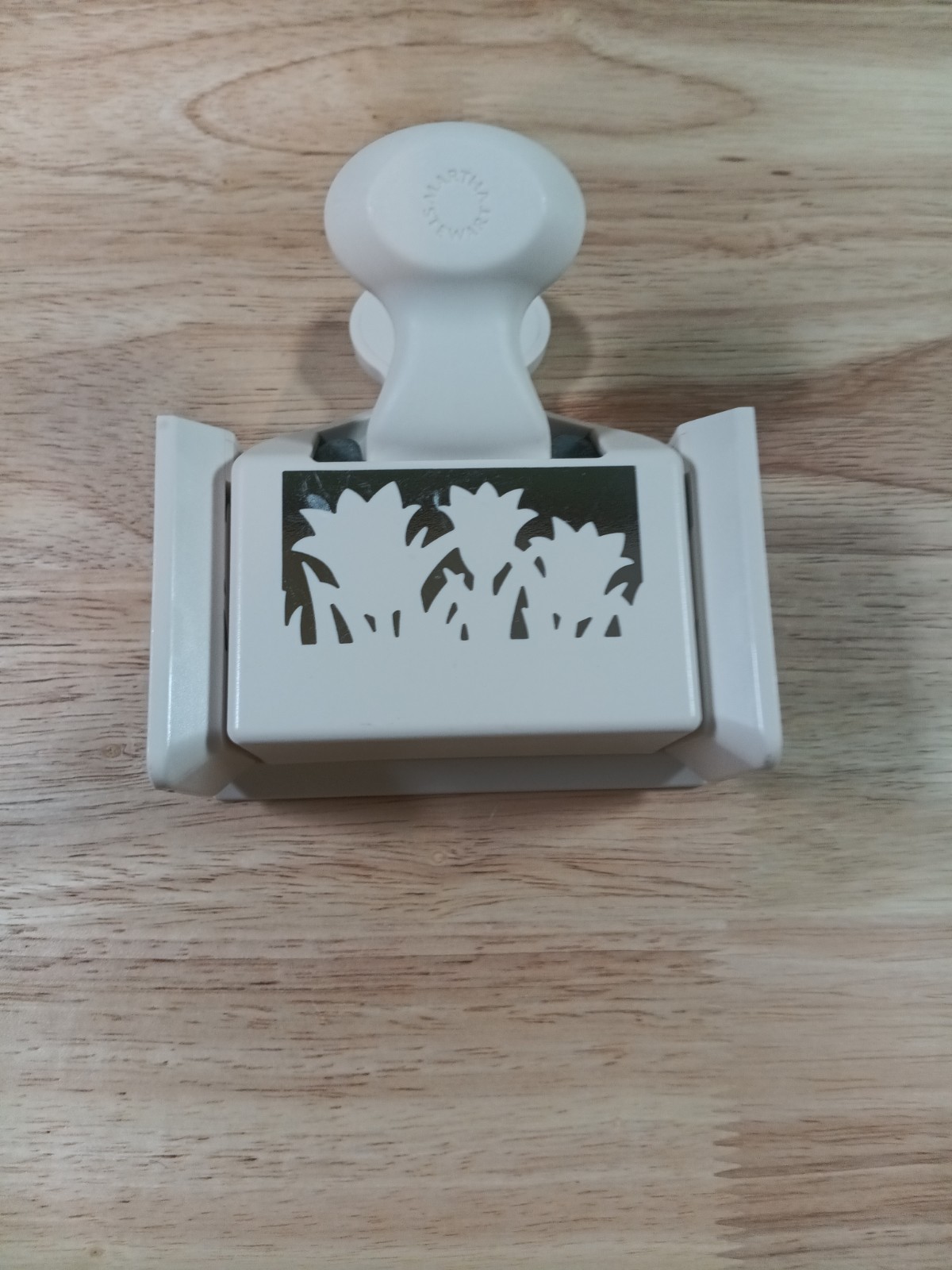 Martha Stewart Punch Spring Tulip Crocus Daffodil Deep Edge