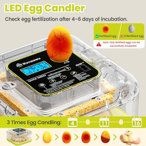 12 Egg Incubator Automatic Turning Humidity & Temperature Control LED Candler