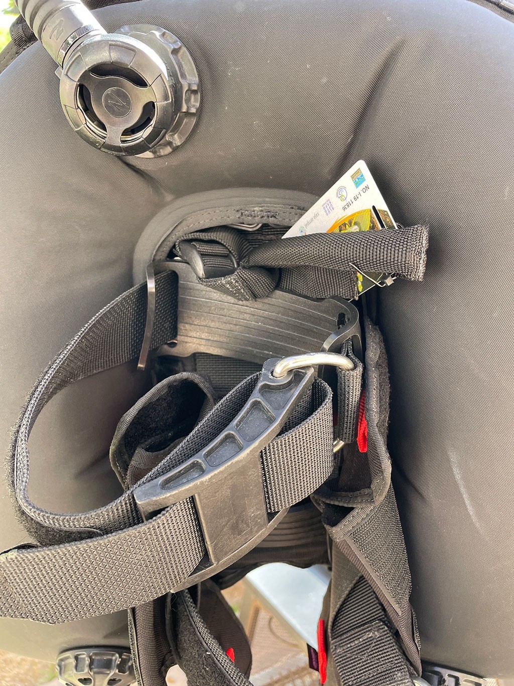 Zeagle Zena BCD (Small) with Atomic Aquatics SS1 Safe Second.