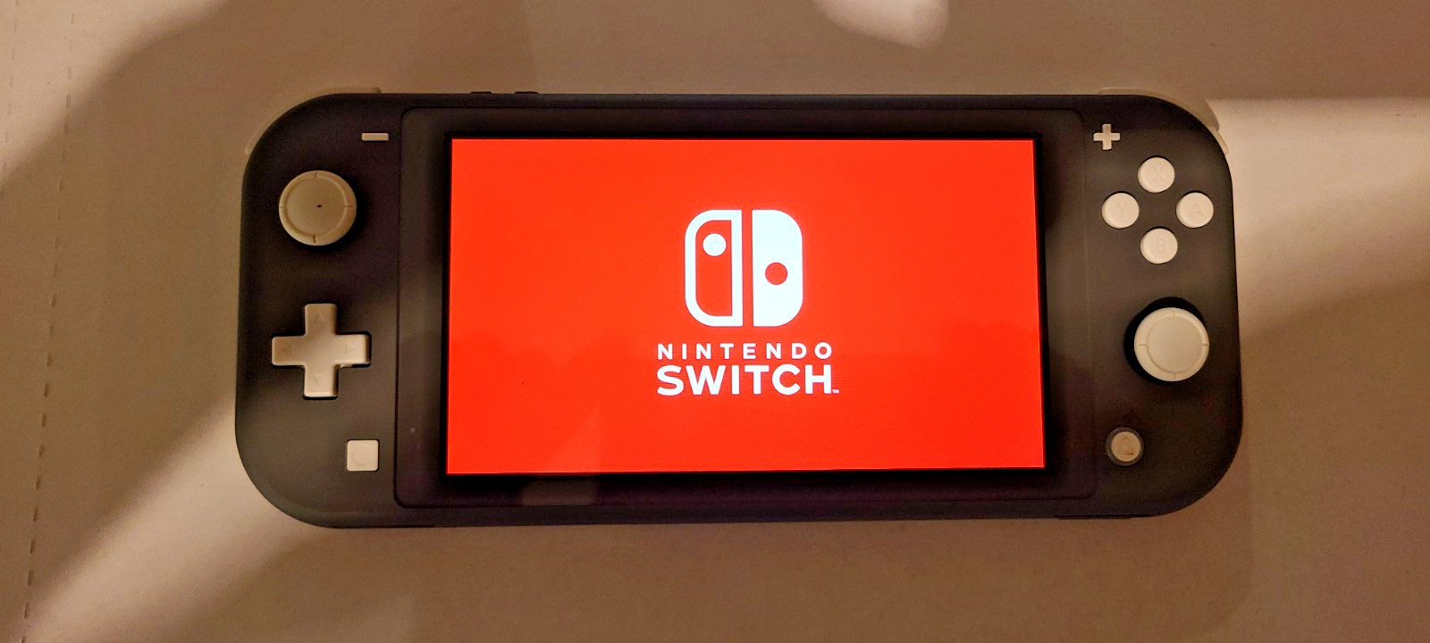 Nintendo Switch Lite Gray Handheld System