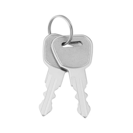 2pcs Mobility Ignition Keys 7325 8325 Compatible with SHOPRIDER Compatible