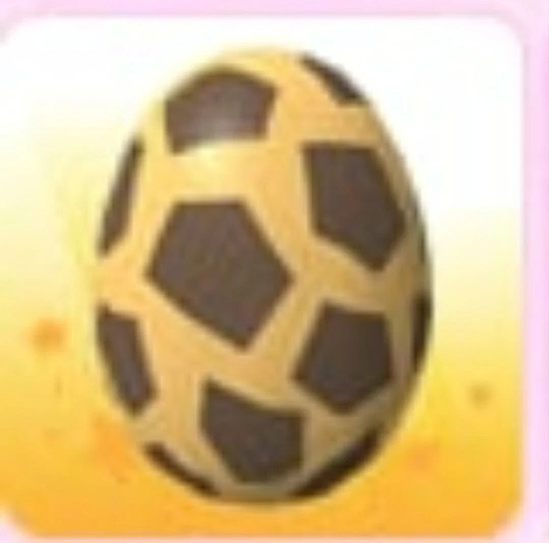 Safari Egg | Adopt Now