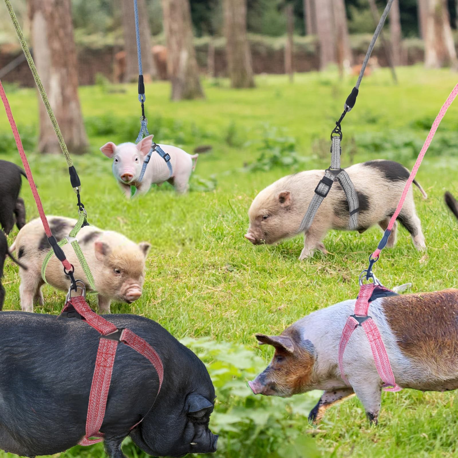 Mini Pig Harness, Adjustable Small Harness with Leash Infinity S, Pink