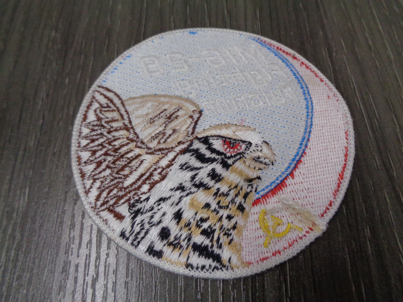 USAF US Air Force MIG-29 Fighting Fulcrum Patch COLOR