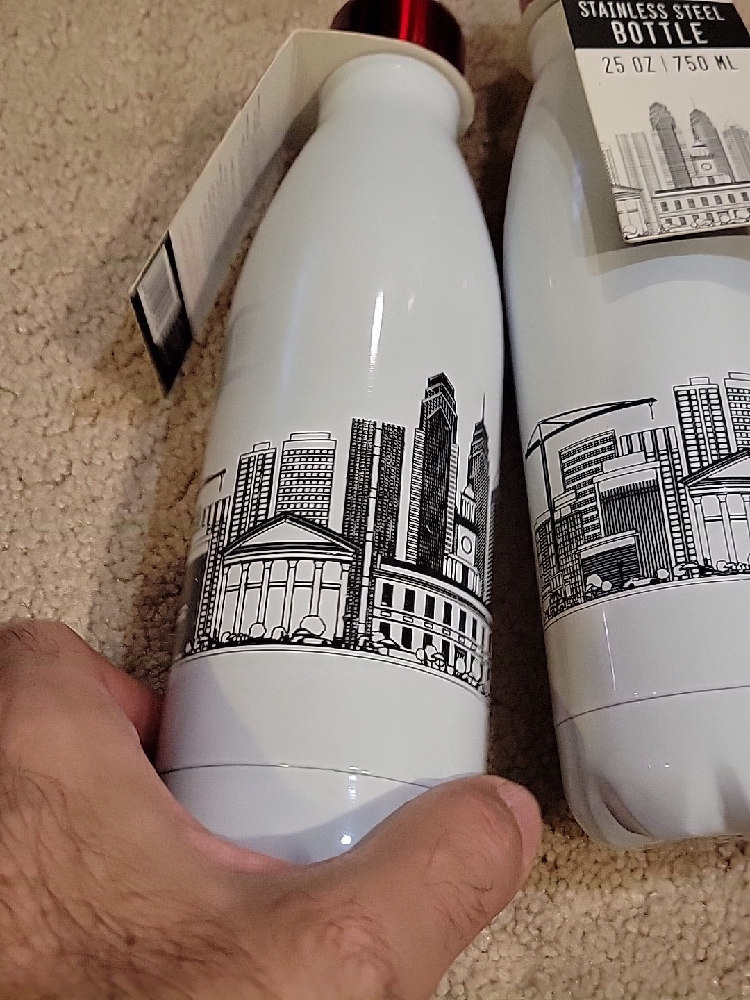 2 STAINLESS STEEL 25 OZ SKYLINE BOTTLES