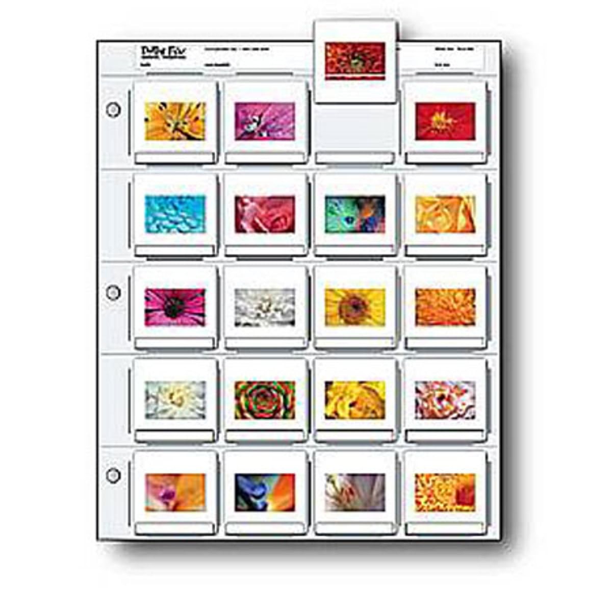 Print File 35mm Slide Pages Holds Twenty 2x2 Mounted 35, Clear
