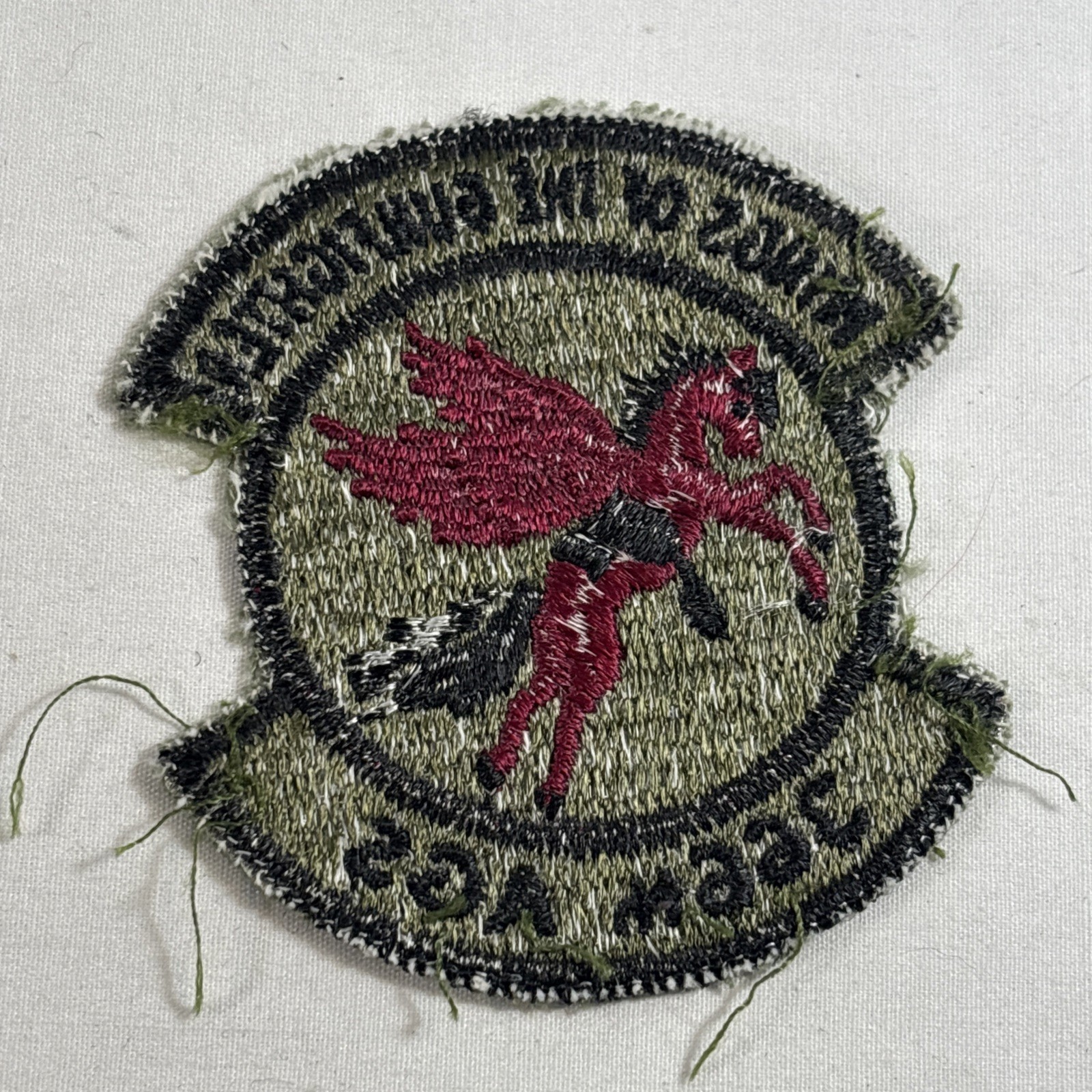 USAF 366th Aircraft Generation Squadron Subdued Patch Mountain Home AFB