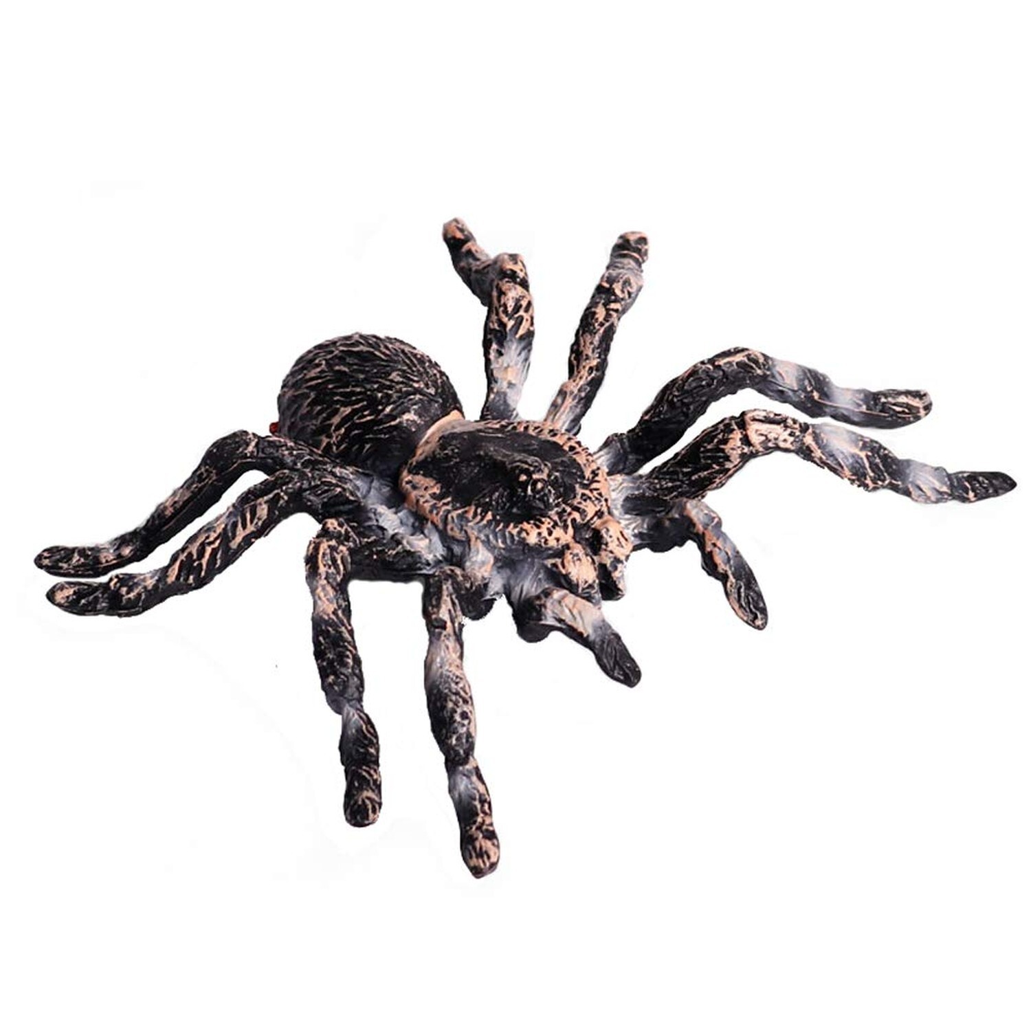 FLORMOON Realistic Animal Figures - Spider Action Model Lifelike Insect Toy F...