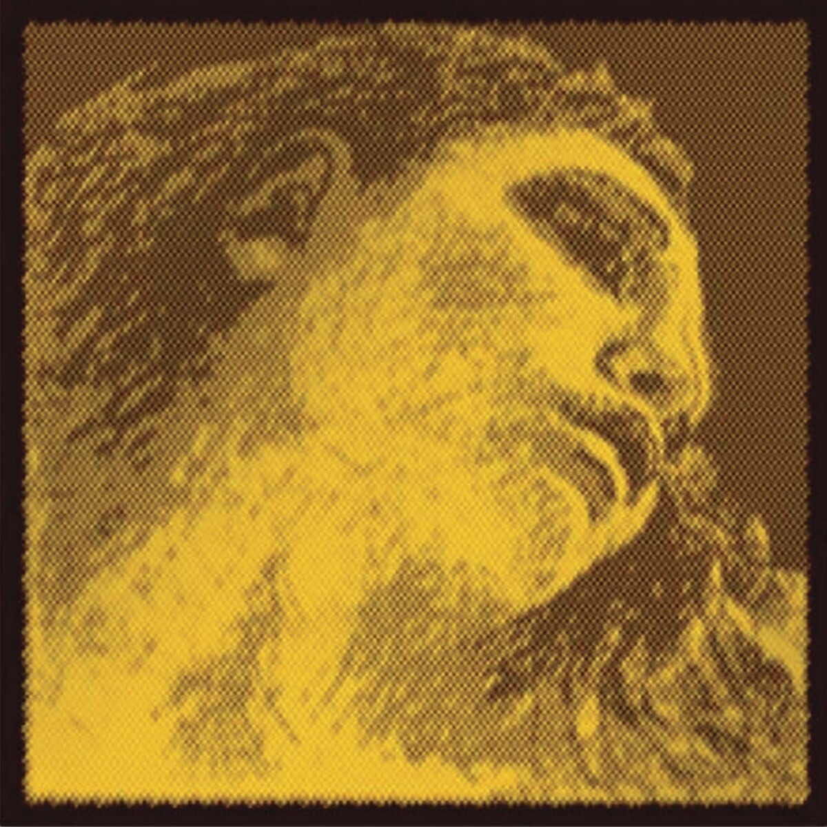 evah gold cello A strings 4/4
