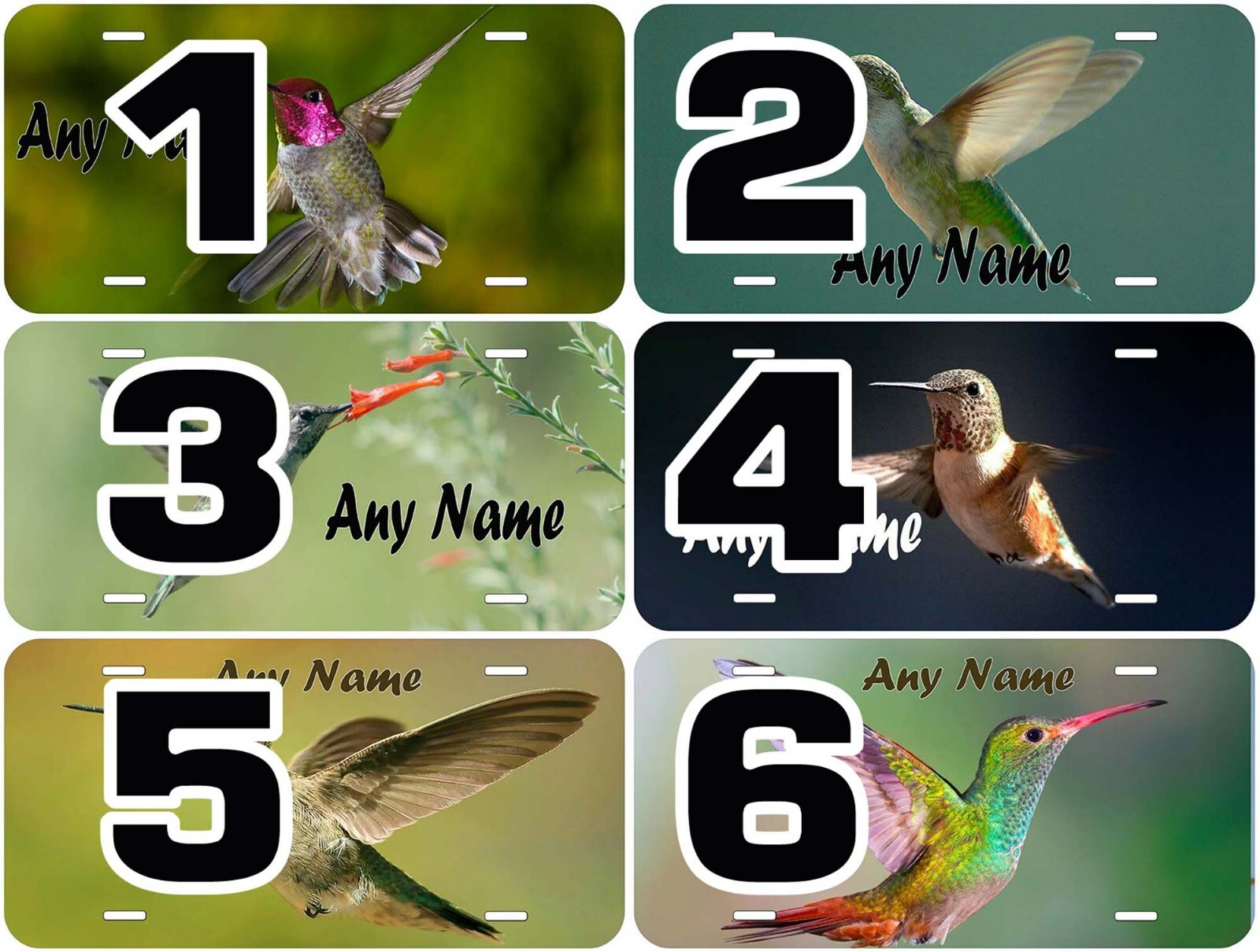 Hummingbird Any Name Personalized Novelty Car License Plate
