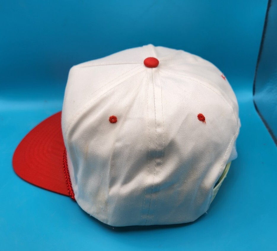 VINTAGE Air Force Association Hat Cap Adjustable Snapback afa