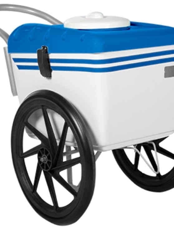 Frozen Food Cooler Mobile Push Cart Paletas Frozen Treats Popsicles Beverages