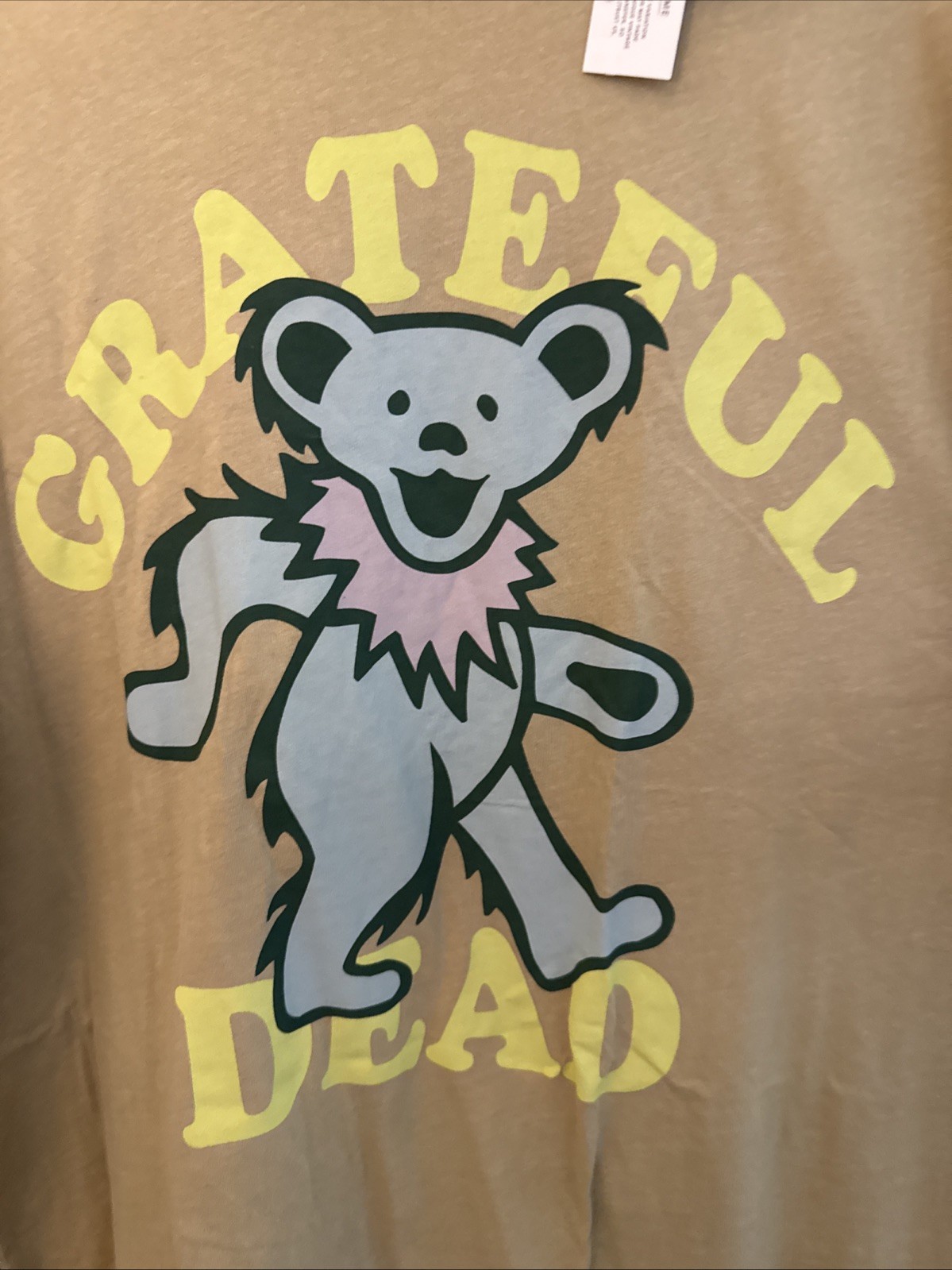 NWT AE Grateful Dead Dancing Bear Tshirt Medium Oversized Fit