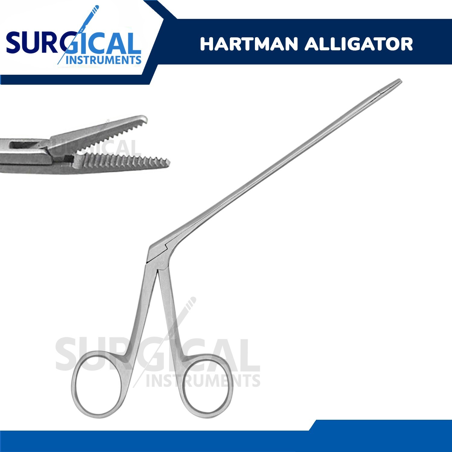 Alligator Forceps Surgical & Veterinary Instruments 10" Stainless German Grade