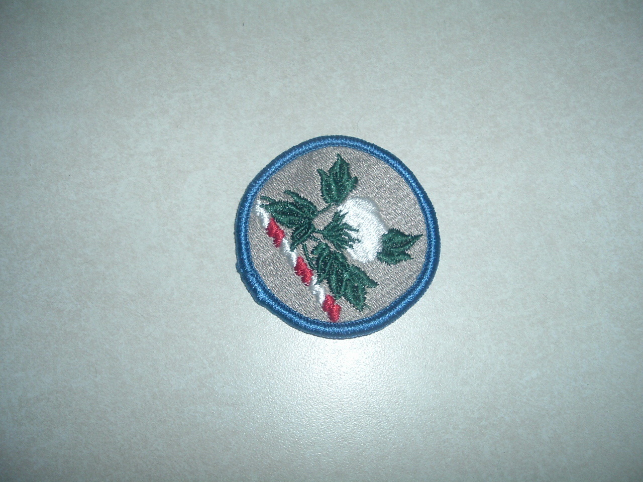 GENUINE US MILITARY PATCH ARMY ALABAMA NATIONAL GUARD COLORED NEW OLD STOCK SEW