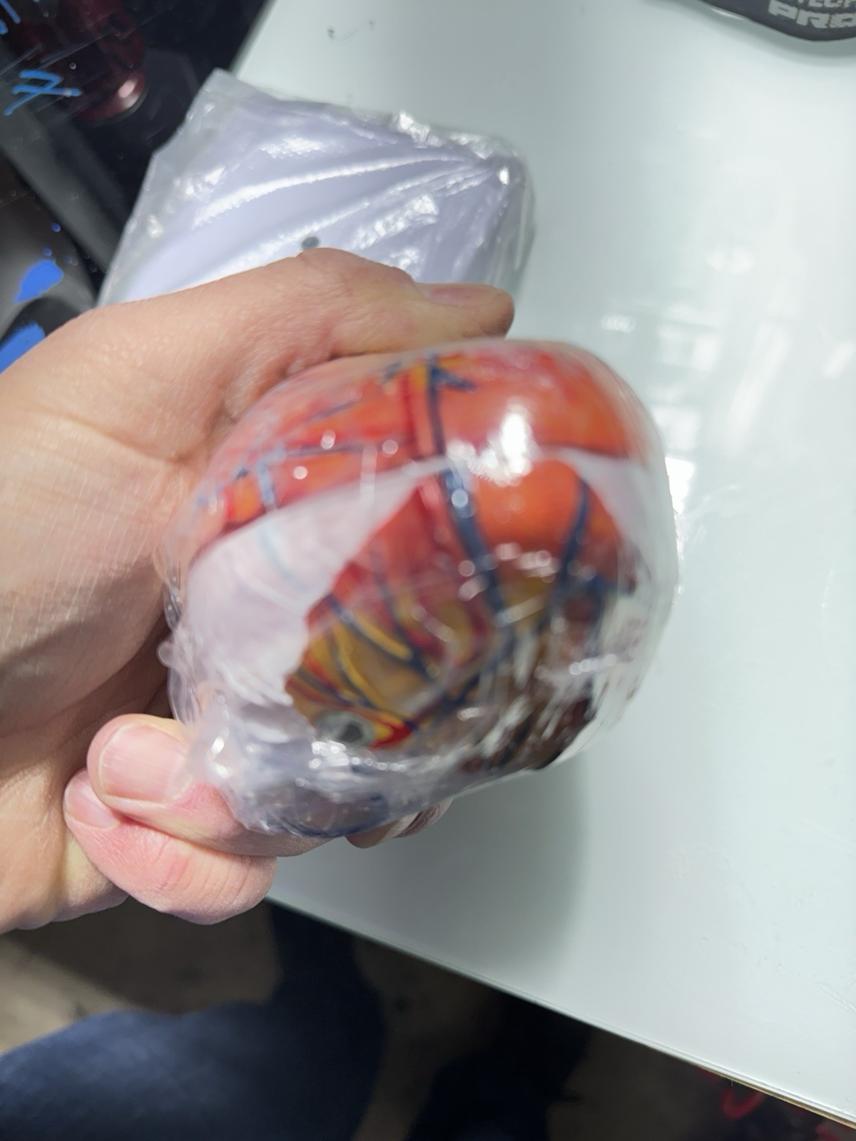 anatomical heart model