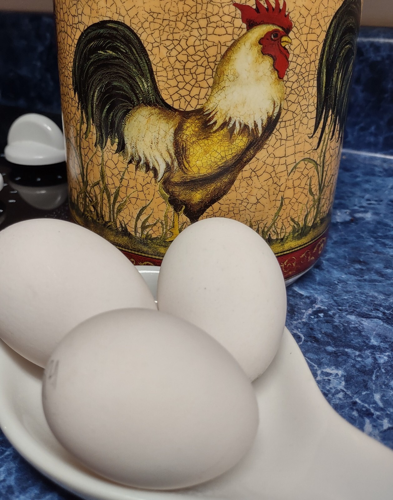 Rainbow Mix Assorted Hatching Eggs(10+) NPIP/A1 Certified
