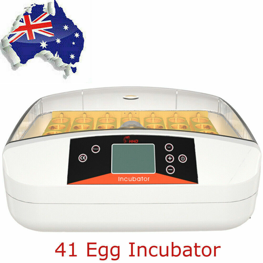 Automatic 41 Egg Incubator Digital Led Auto Turning Chicken Egg Poultry 220V 80W