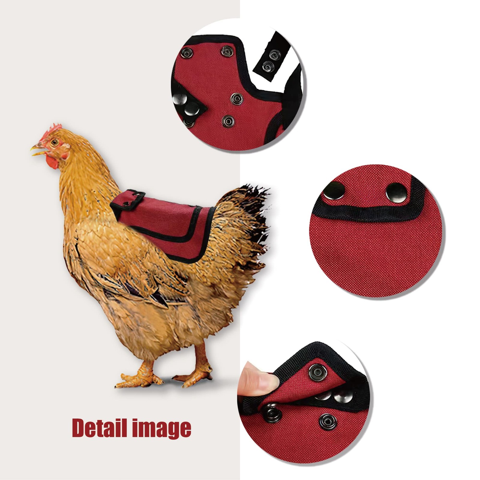 Chicken Saddles for Outdoor hens Apron Back Protector with Adjustable Strap