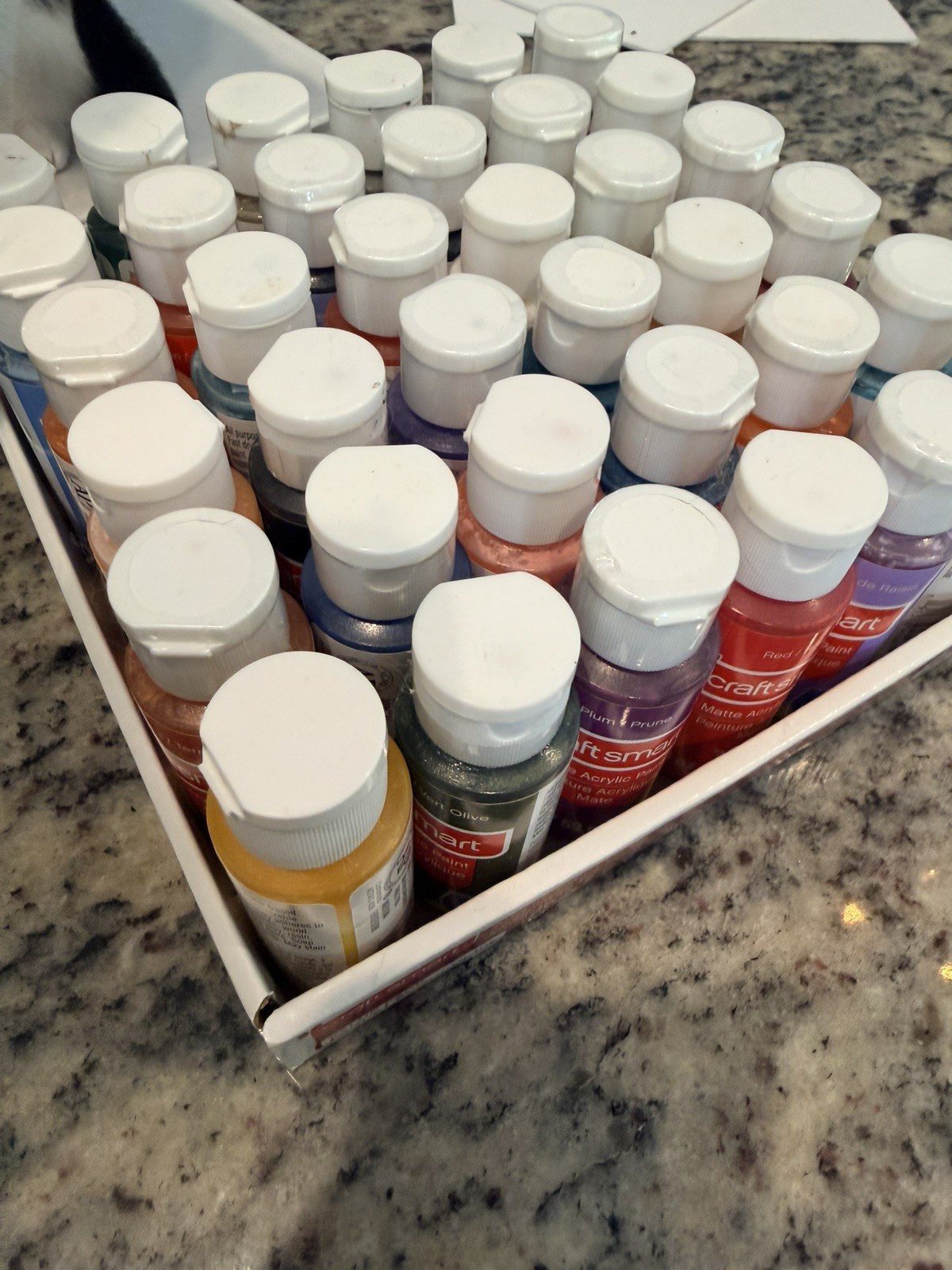Craft Smart Acrylic Paint Set, 36 Pieces, 2fl oz /59ml & 6 sealed canvases