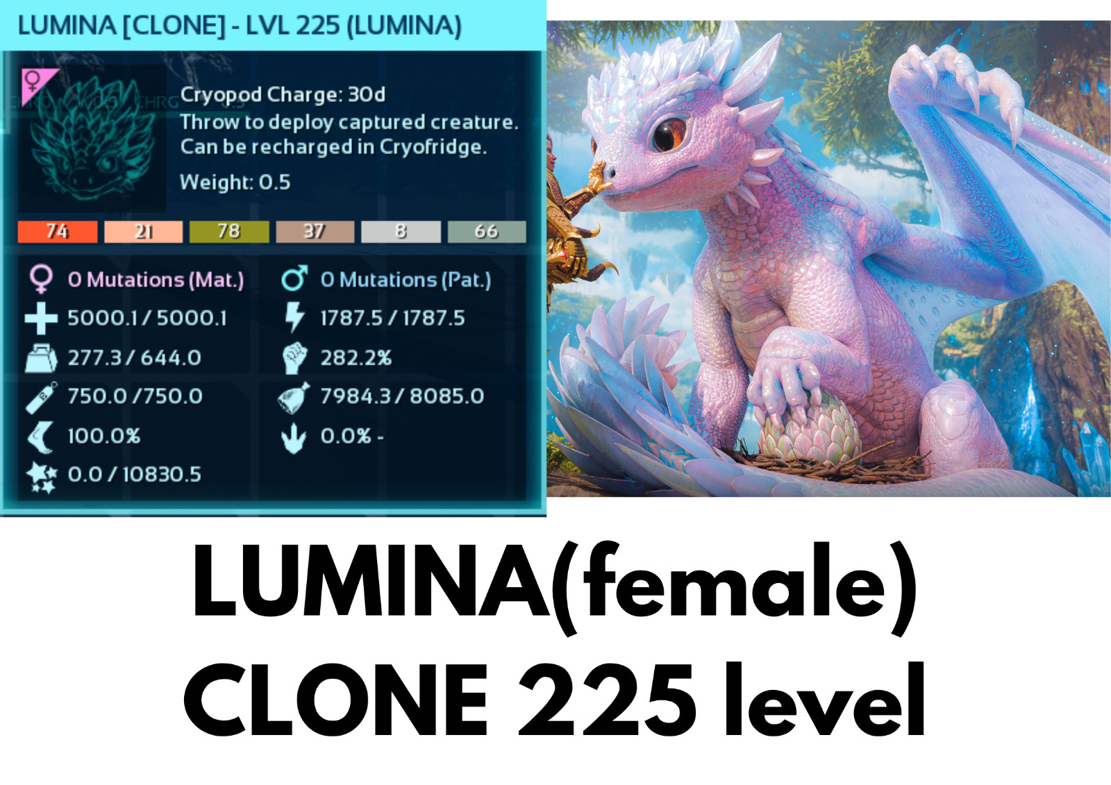 Lumina 225 Level Female Clone Ark Survival Ascended Official PVE