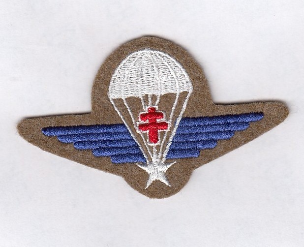 France Free French Forces Airborne parachute wing ~3.75" patch c/e