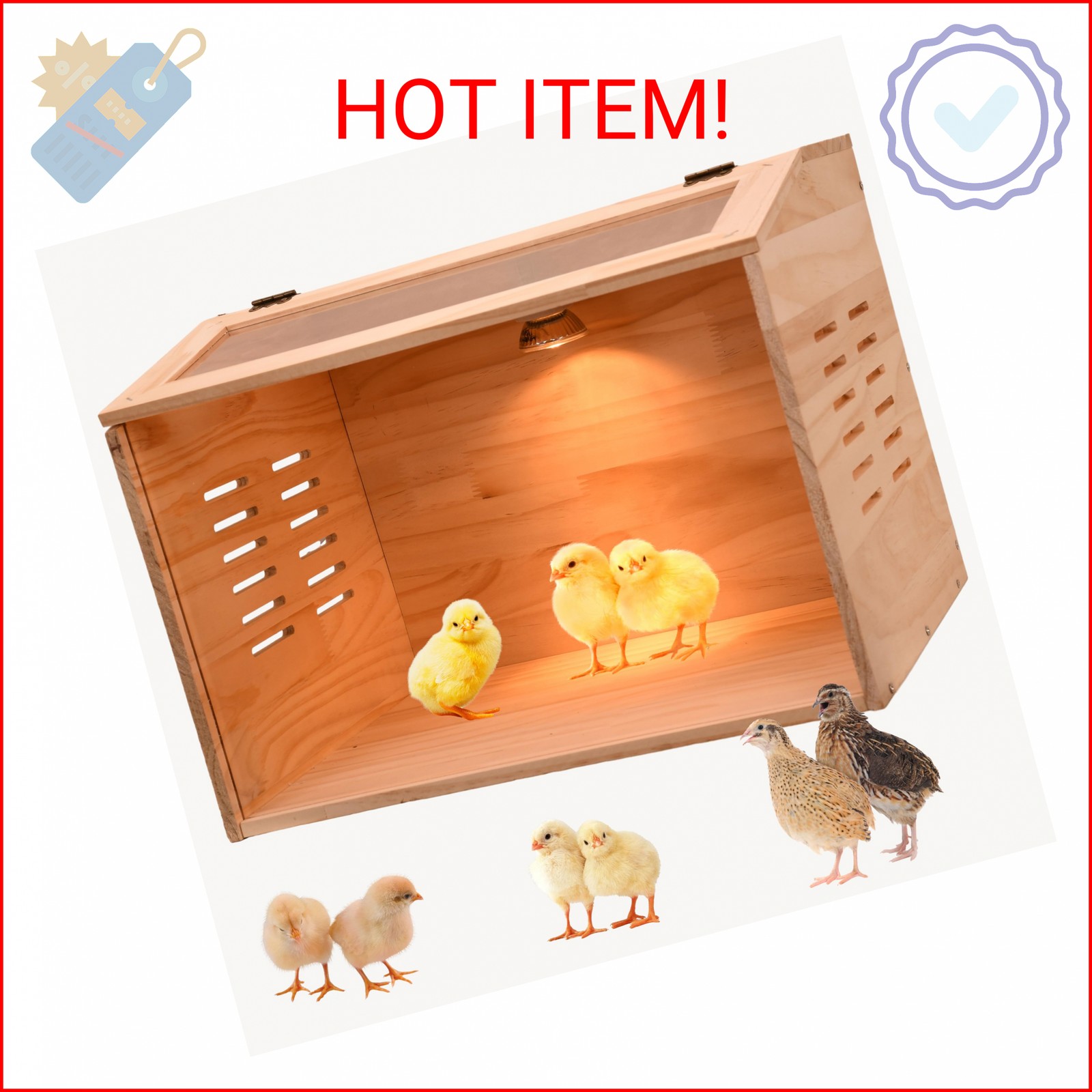 Brooder Box for Chicks, Chicken Brooder Box, Chicken Heater, Poultry Brooder wit