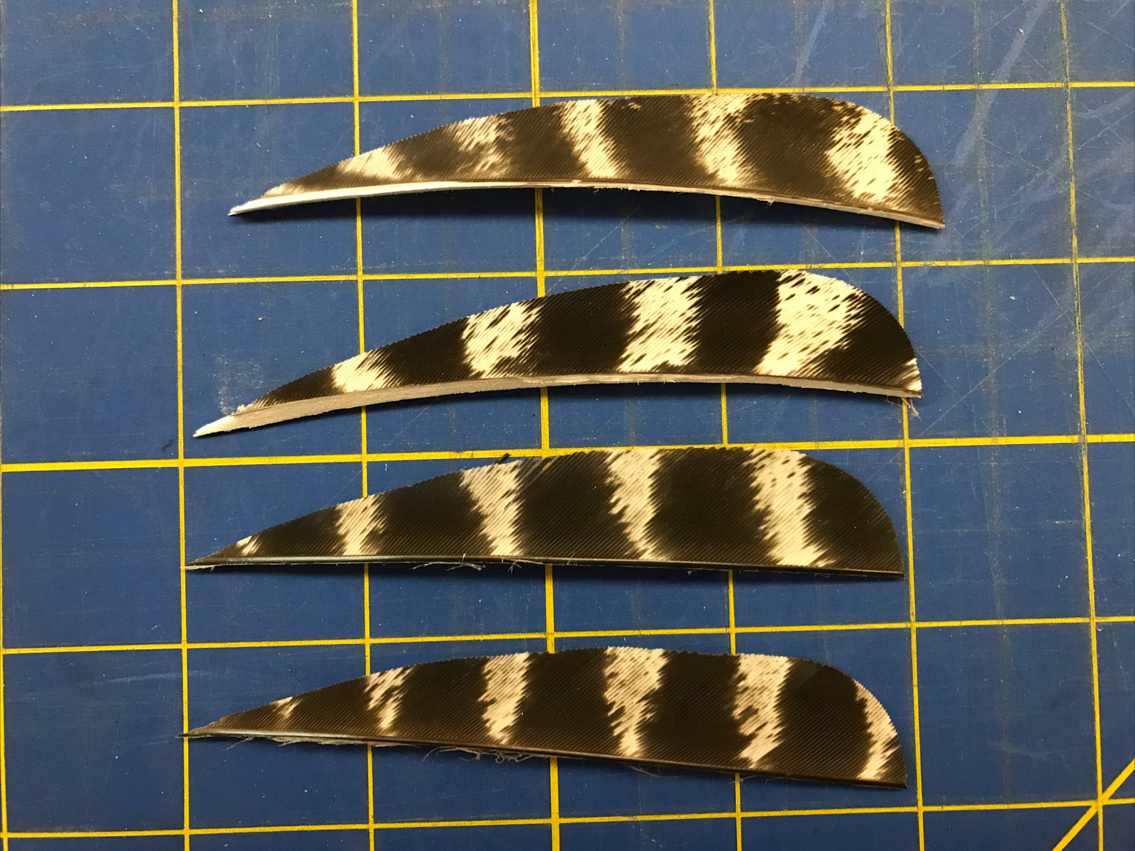 4" Left  Wing Parabolic Natural Barred Feather Fletching, 25Pk Archery 🇺🇸￼