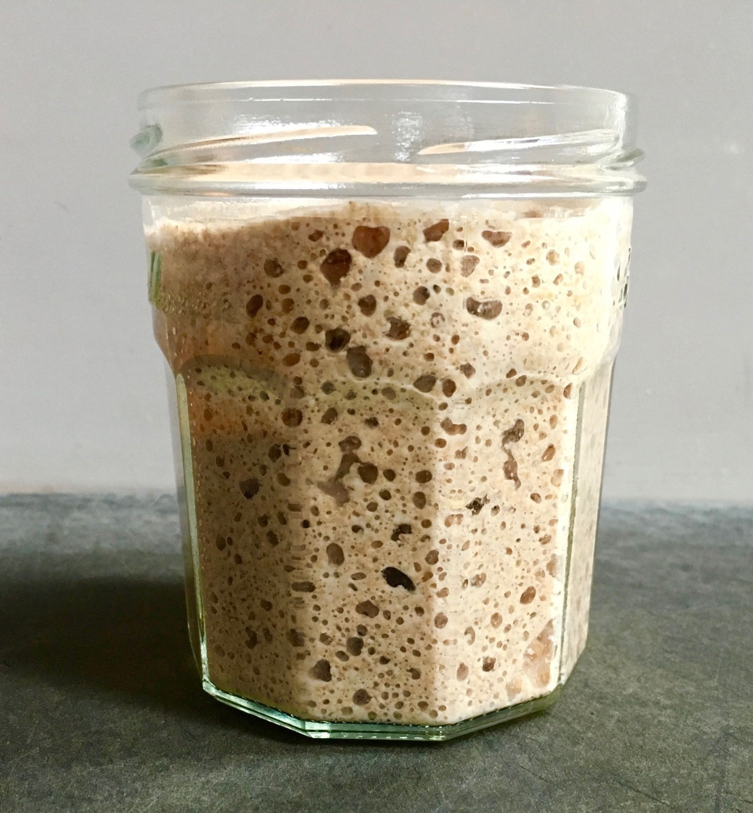 SF Sourdough Lactobacillus Sanfrancisco ~ Fructilactobacillus Sanfranciscensis