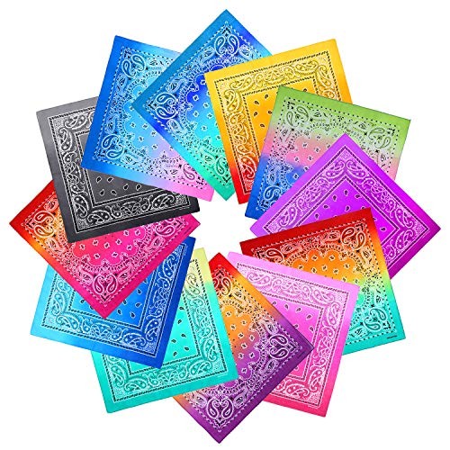 12 Pack Novelty Gradient Cotton Bandanas Paisley Print Head Mixed 12 Colors a