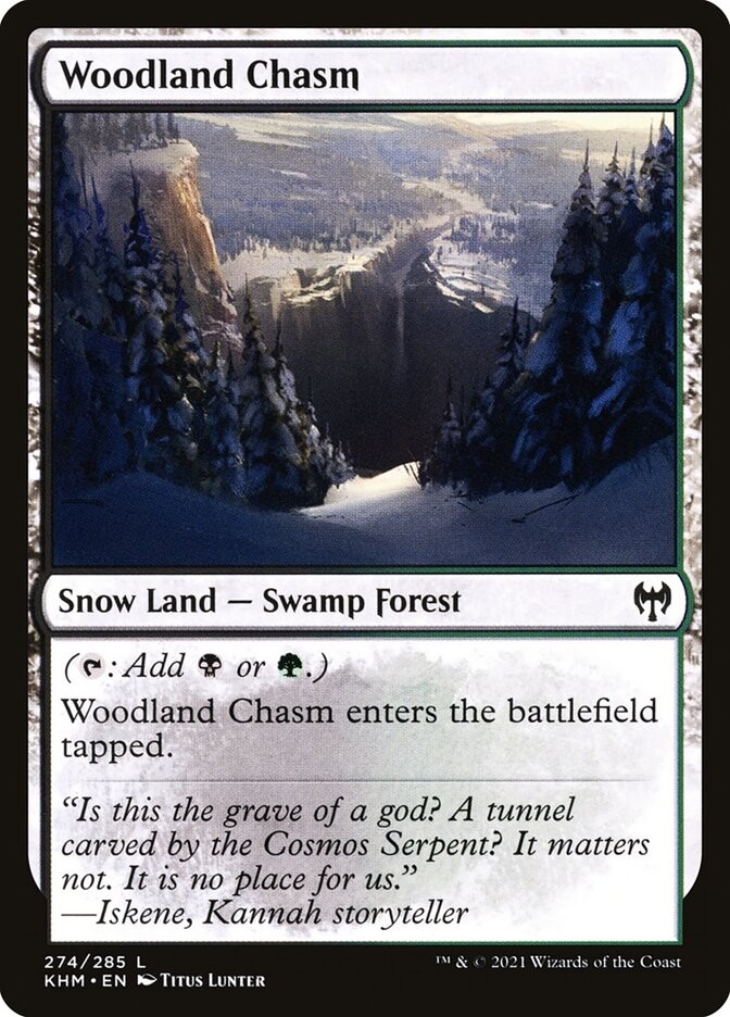 MTG Magic the Gathering Woodland Chasm (274/553) Kaldheim LP
