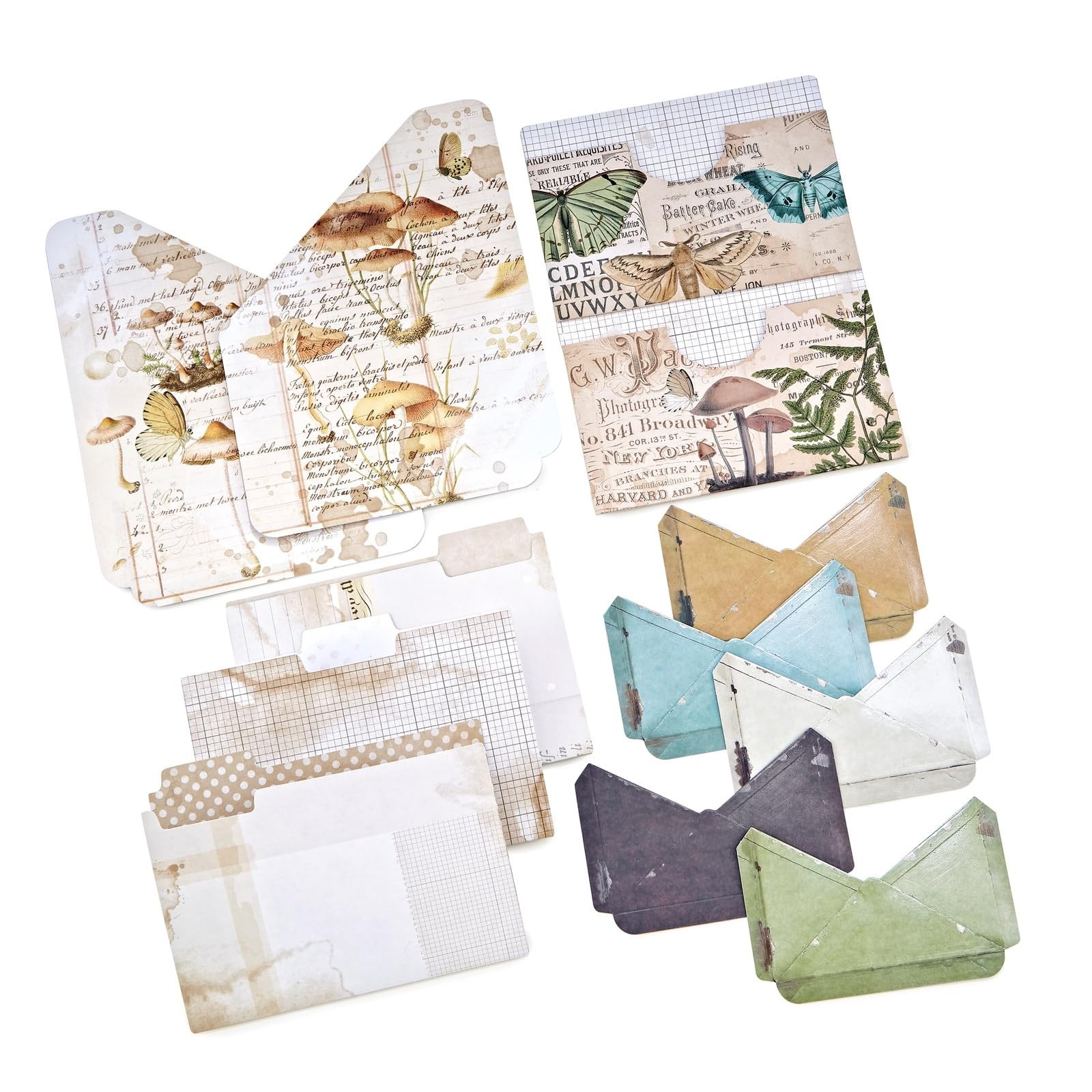 Nature Study Essential File Set Multicolor
