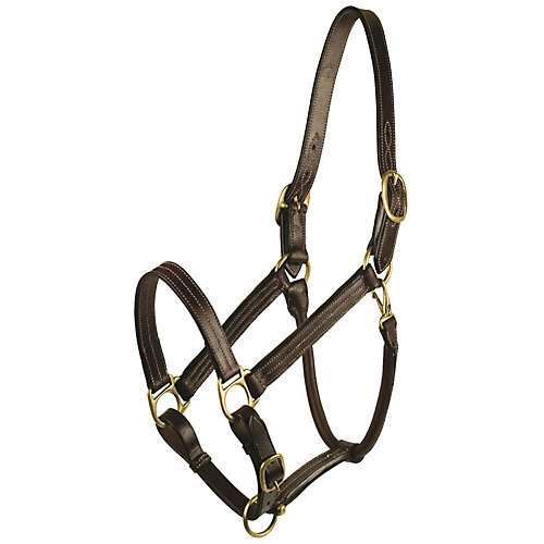 Gatsby Premium Adj Triple Stitched Halter