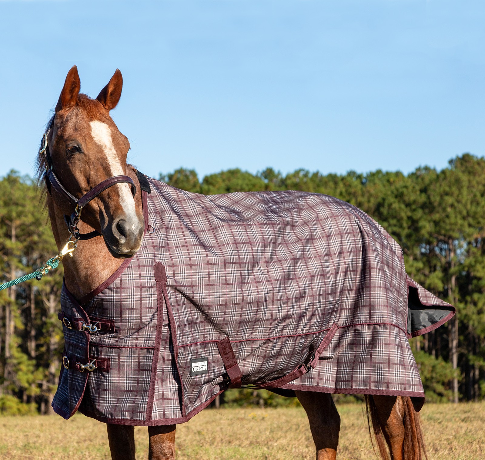 Poplar Head Origin 600 Denier Turnout Blanket, 240 Gram, Espresso and Wine Plaid