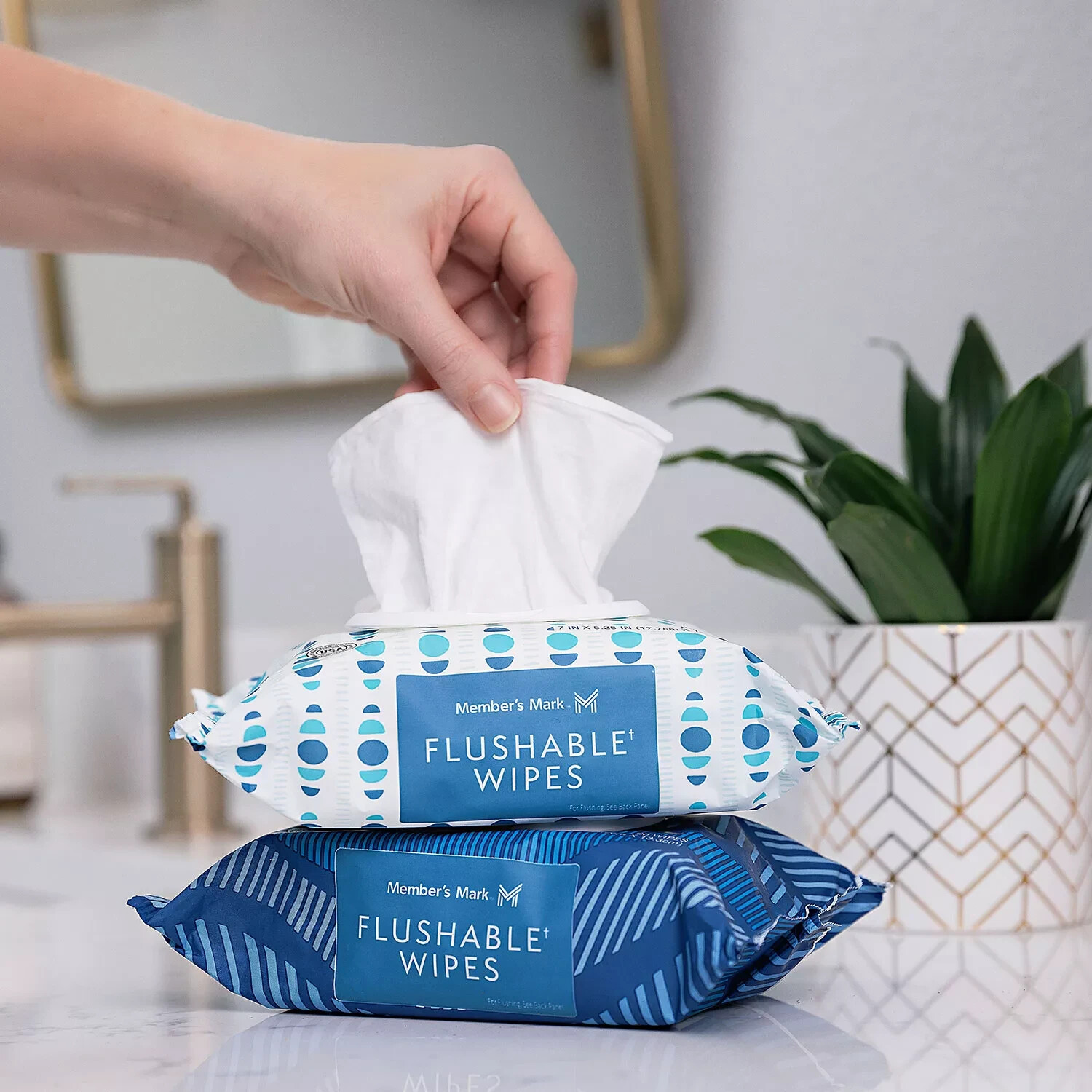 Member's Mark Flushable Wipes, Fresh Scent, 540 ct.
