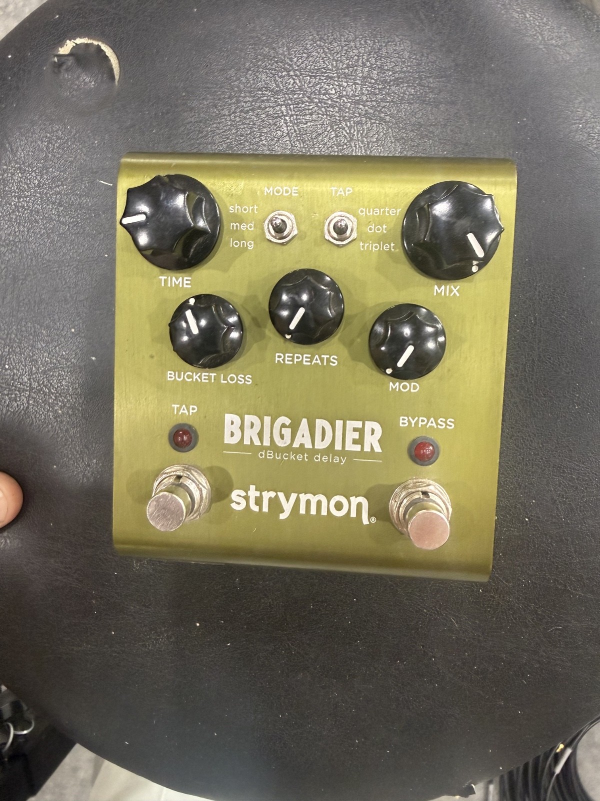 Strymon Brigadier Delay