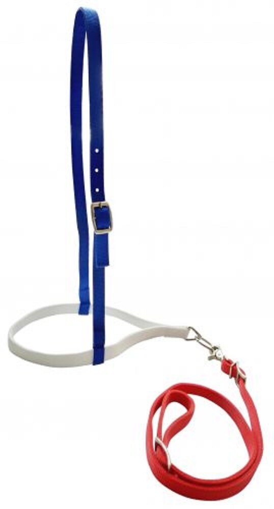 NEW! Showman RED WHITE AND BLUE NYLON NOSEBAND AND TIEDOWN 1" crown nickel snaps