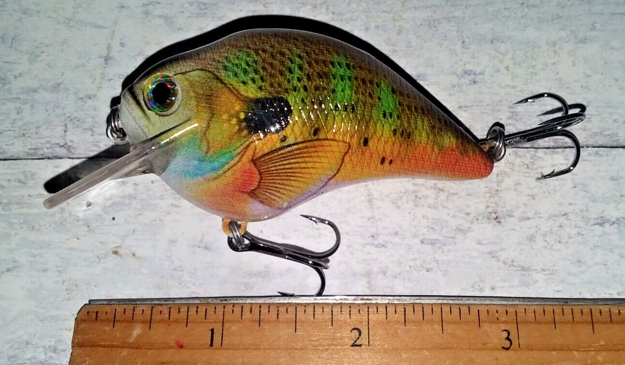 #B COPY of Megabass S Crank 2.5 inch Shallow Diving Square Bill SUNFISH COLOR!