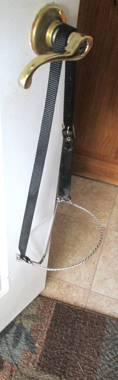 ARABIAN TWISTED WIRE NOSE BAND, TIE DOWN NYLON