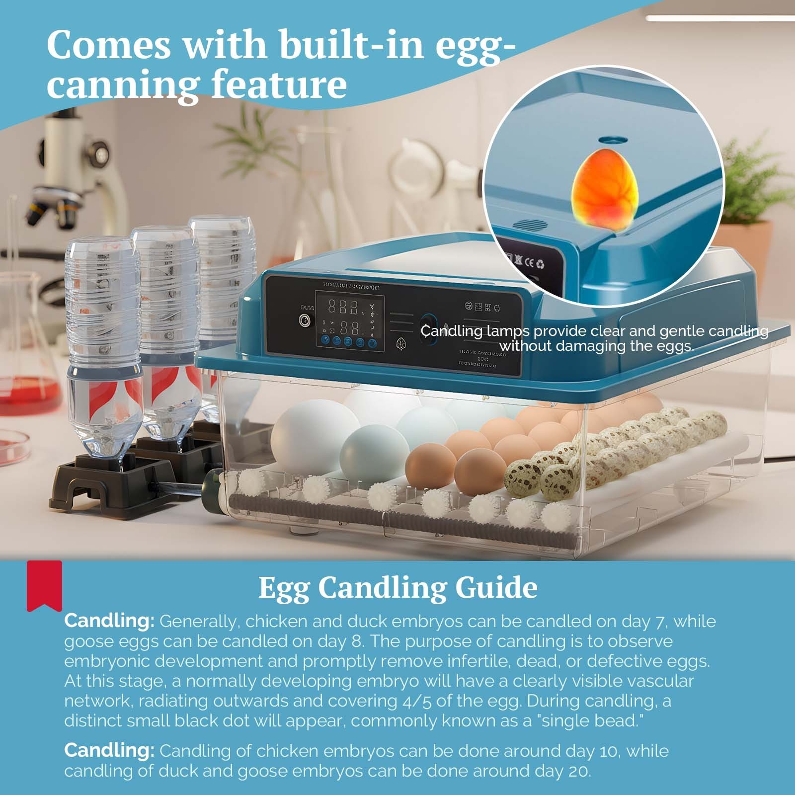 36 Eggs Digital Incubator Hatcher Temperature Control Fully Automatic Turning US