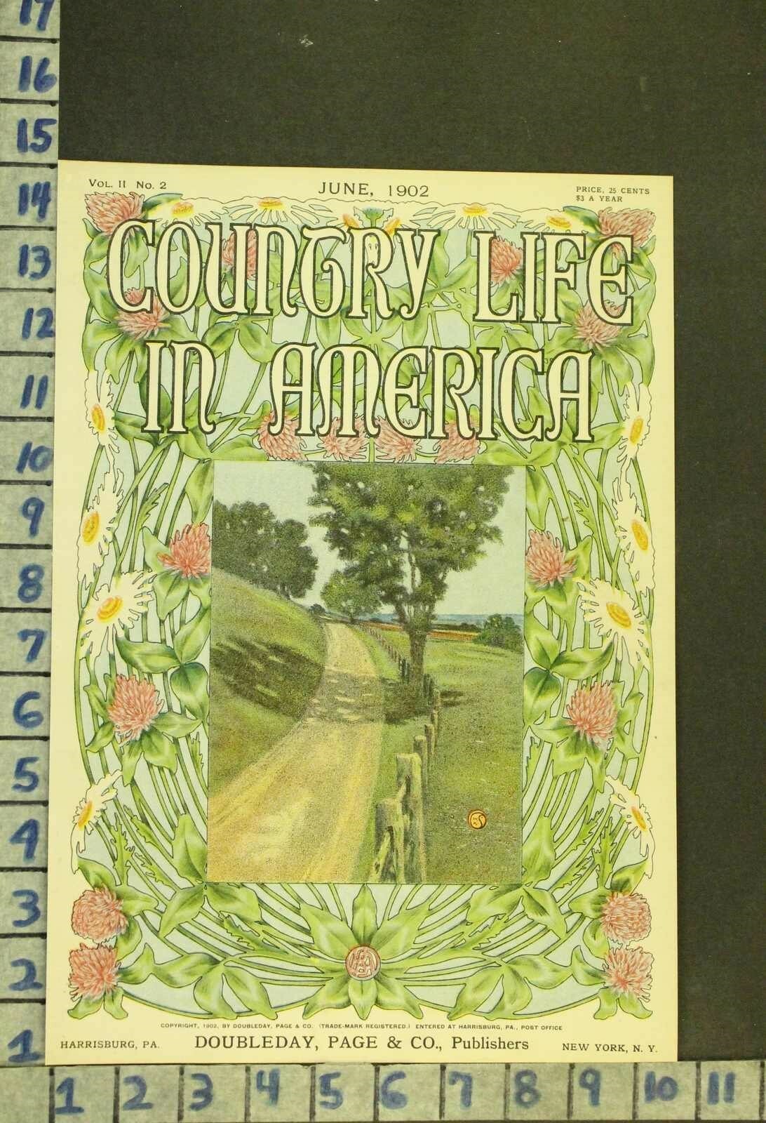 1902 DECOR COUNTRY ROAD FLOWER GARDEN BOTANY DAISY TRAVEL ADVENTURE COVER RM58